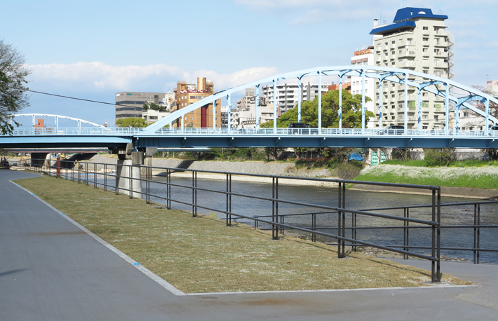 白川護岸【街路柵】