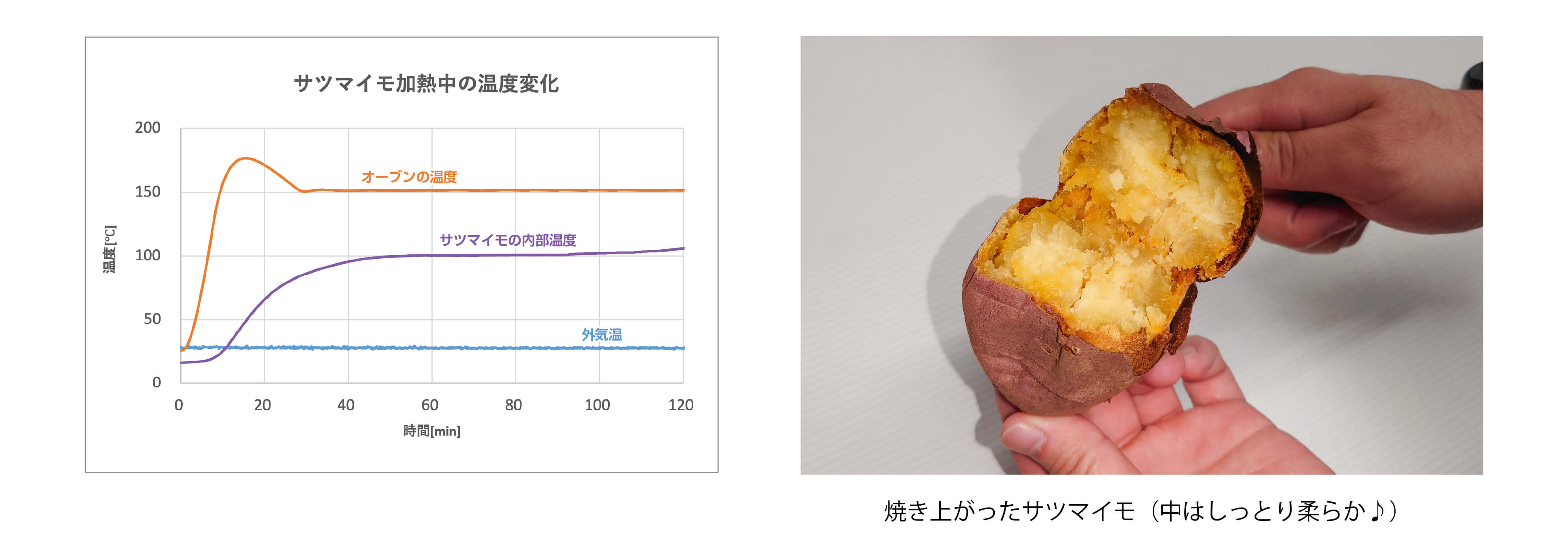 焼き上がったサツマイモ 焼き上がったサツマイモ