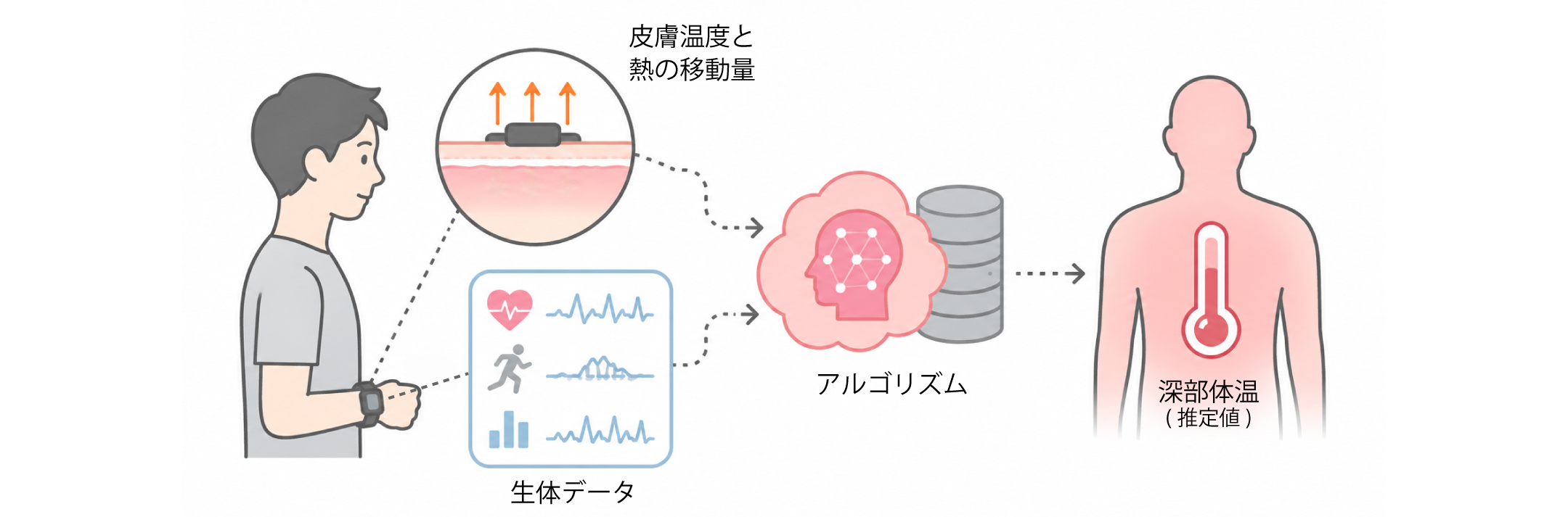 img_charcoal and semicon.png ウェアラブルデバイスによる深部体温推定の仕組み